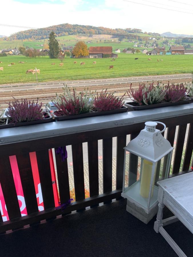 Pension Chalet Charme Siebnen Экстерьер фото